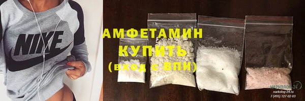 шишки Белоозёрский