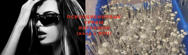 шишки Белоозёрский