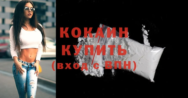 шишки Белоозёрский