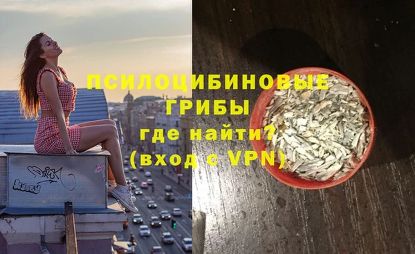 ALPHA PVP Белокуриха