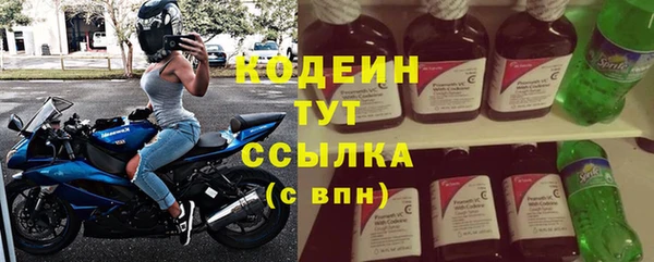 шишки Белоозёрский