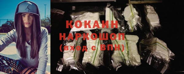 шишки Белоозёрский