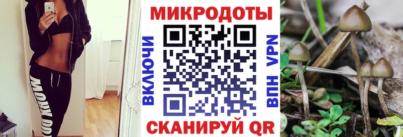 наркотики  Пятигорск  Псилоцибиновые грибы мицелий 